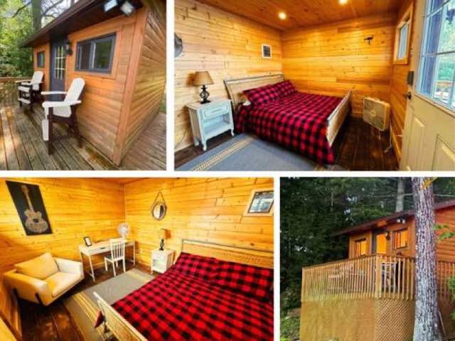 bunkie